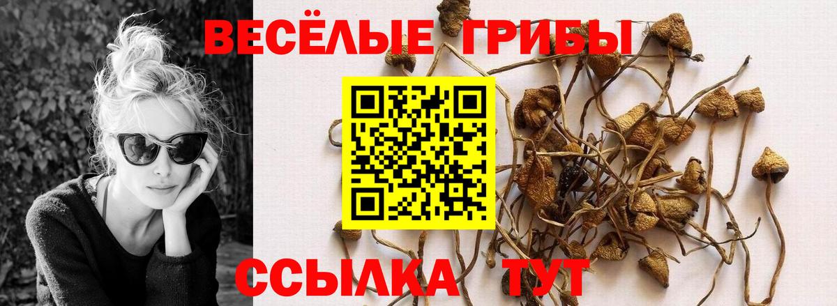 Галлюциногенные грибы ЛСД Норильск